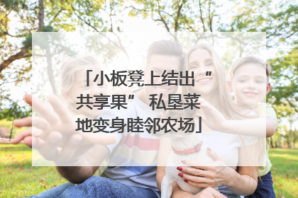 小板凳上结出“共享果” 私垦菜地变身睦邻农场