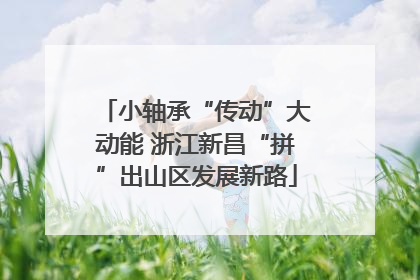 小轴承“传动”大动能 浙江新昌“拼”出山区发展新路
