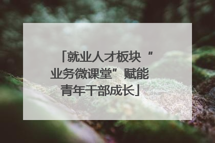 就业人才板块“业务微课堂”赋能青年干部成长