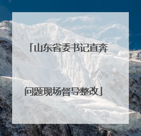 山东省委书记直奔问题现场督导整改