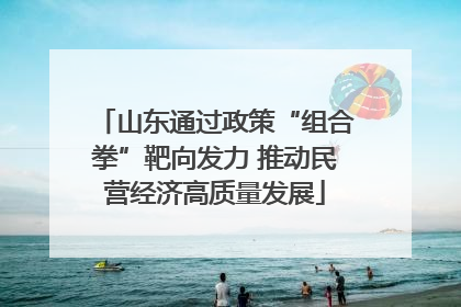 山东通过政策“组合拳”靶向发力 推动民营经济高质量发展