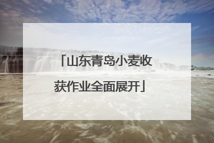 山东青岛小麦收获作业全面展开