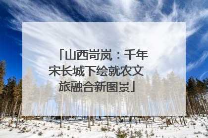 山西岢岚：千年宋长城下绘就农文旅融合新图景