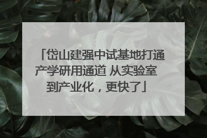 岱山建强中试基地打通产学研用通道 从实验室到产业化，更快了
