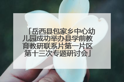 岳西县包家乡中心幼儿园成功举办县学前教育教研联系片第一片区第十三次专题研讨会