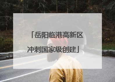 岳阳临港高新区冲刺国家级创建