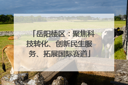 岳阳楼区：聚焦科技转化、创新民生服务、拓展国际赛道