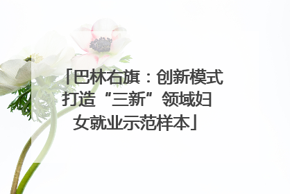 巴林右旗：创新模式 打造“三新”领域妇女就业示范样本