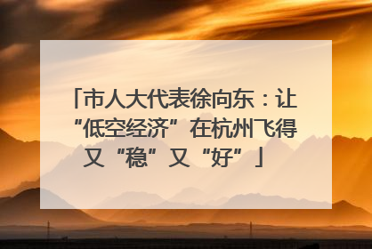 市人大代表徐向东：让“低空经济”在杭州飞得又“稳”又“好”