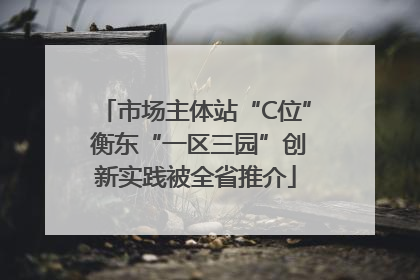 市场主体站“C位” 衡东“一区三园”创新实践被全省推介