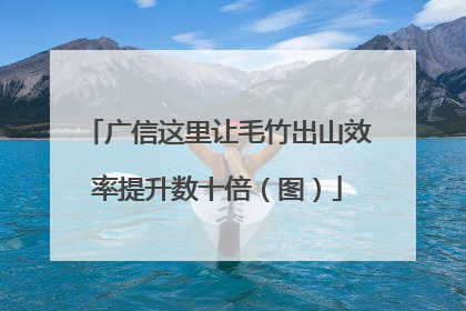 广信这里让毛竹出山效率提升数十倍（图）