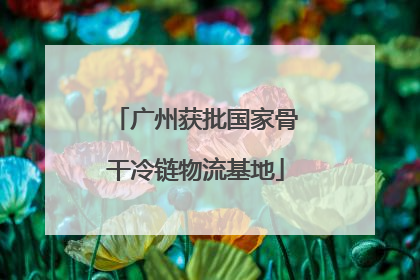 广州获批国家骨干冷链物流基地