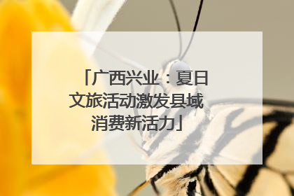 广西兴业：夏日文旅活动激发县域消费新活力