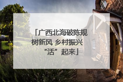 广西北海破陈规树新风 乡村振兴“活”起来