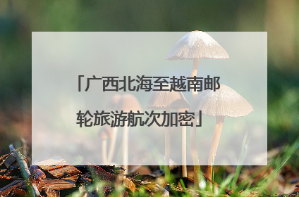 广西北海至越南邮轮旅游航次加密