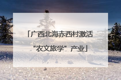 广西北海赤西村激活“农文旅学”产业