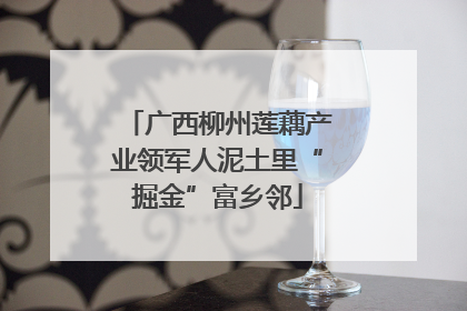 广西柳州莲藕产业领军人泥土里“掘金”富乡邻