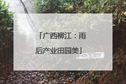 广西柳江：雨后产业田园美