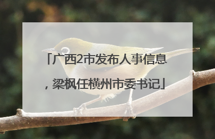 广西2市发布人事信息，梁枫任横州市委书记