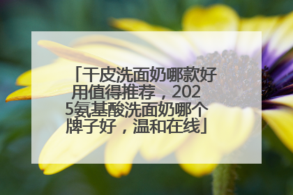 干皮洗面奶哪款好用值得推荐，2025氨基酸洗面奶哪个牌子好，温和在线