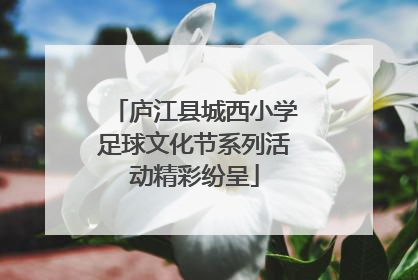 庐江县城西小学足球文化节系列活动精彩纷呈