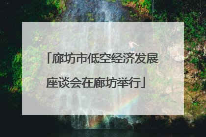 廊坊市低空经济发展座谈会在廊坊举行