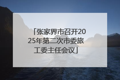 张家界市召开2025年第二次市委旅工委主任会议