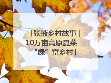 张掖乡村故事｜10万亩高原夏菜“绿”富乡村