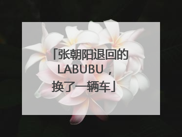 张朝阳退回的LABUBU，换了一辆车