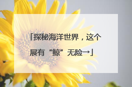 探秘海洋世界，这个展有“鲸”无险→