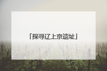 探寻辽上京遗址