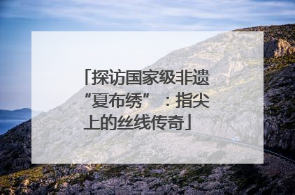 探访国家级非遗“夏布绣”：指尖上的丝线传奇
