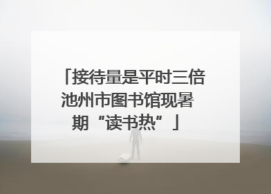 接待量是平时三倍 池州市图书馆现暑期“读书热”