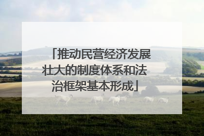 推动民营经济发展壮大的制度体系和法治框架基本形成