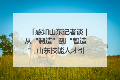 感知山东记者谈｜从“制造”到“智造” 山东技能人才引领产业升级
