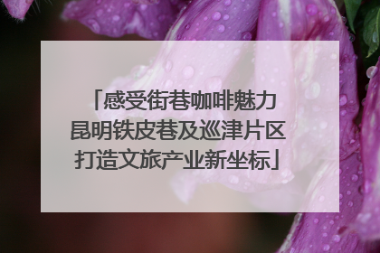 感受街巷咖啡魅力 昆明铁皮巷及巡津片区打造文旅产业新坐标