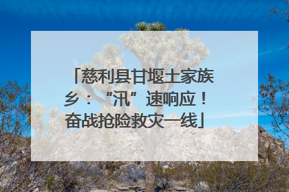 慈利县甘堰土家族乡：“汛”速响应！奋战抢险救灾一线