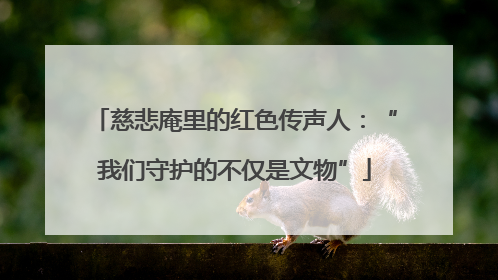 慈悲庵里的红色传声人：“我们守护的不仅是文物”