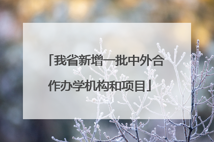 我省新增一批中外合作办学机构和项目