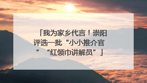 我为家乡代言！崇阳评选一批“小小推介官”“红领巾讲解员”