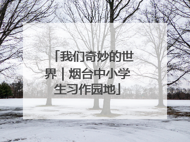 我们奇妙的世界｜烟台中小学生习作园地