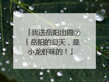 我送岳阳出圈⑦丨岳阳的夏天，是小龙虾味的！