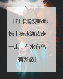 打卡消费新地标丨衡水湖边走一走，有水有鸟有乡愁