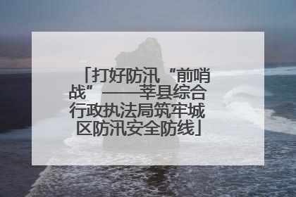 打好防汛“前哨战”——莘县综合行政执法局筑牢城区防汛安全防线