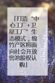 打造“中心工厂+卫星工厂”生态模式，绵竹产区将面向社会开放窖池股权认购