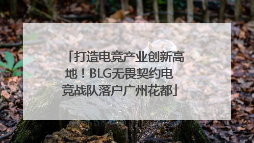 打造电竞产业创新高地！BLG无畏契约电竞战队落户广州花都