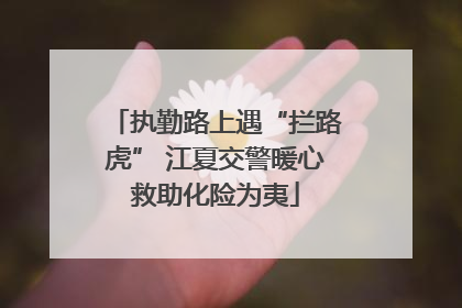 执勤路上遇“拦路虎” 江夏交警暖心救助化险为夷