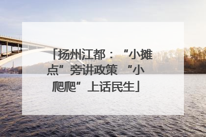 扬州江都：“小摊点”旁讲政策 “小爬爬”上话民生