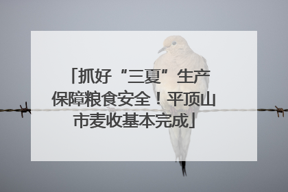 抓好“三夏”生产 保障粮食安全！平顶山市麦收基本完成