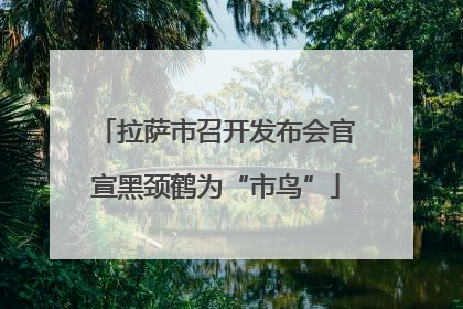 拉萨市召开发布会官宣黑颈鹤为“市鸟”